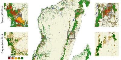 Kort Madagaskar skovrydning