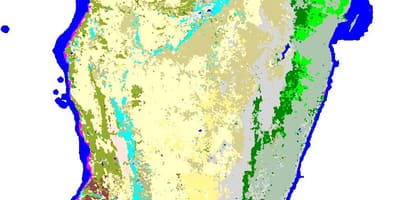 Kort Madagaskar vegetation